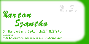 marton szantho business card